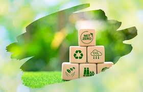 Net Zero Initiatives